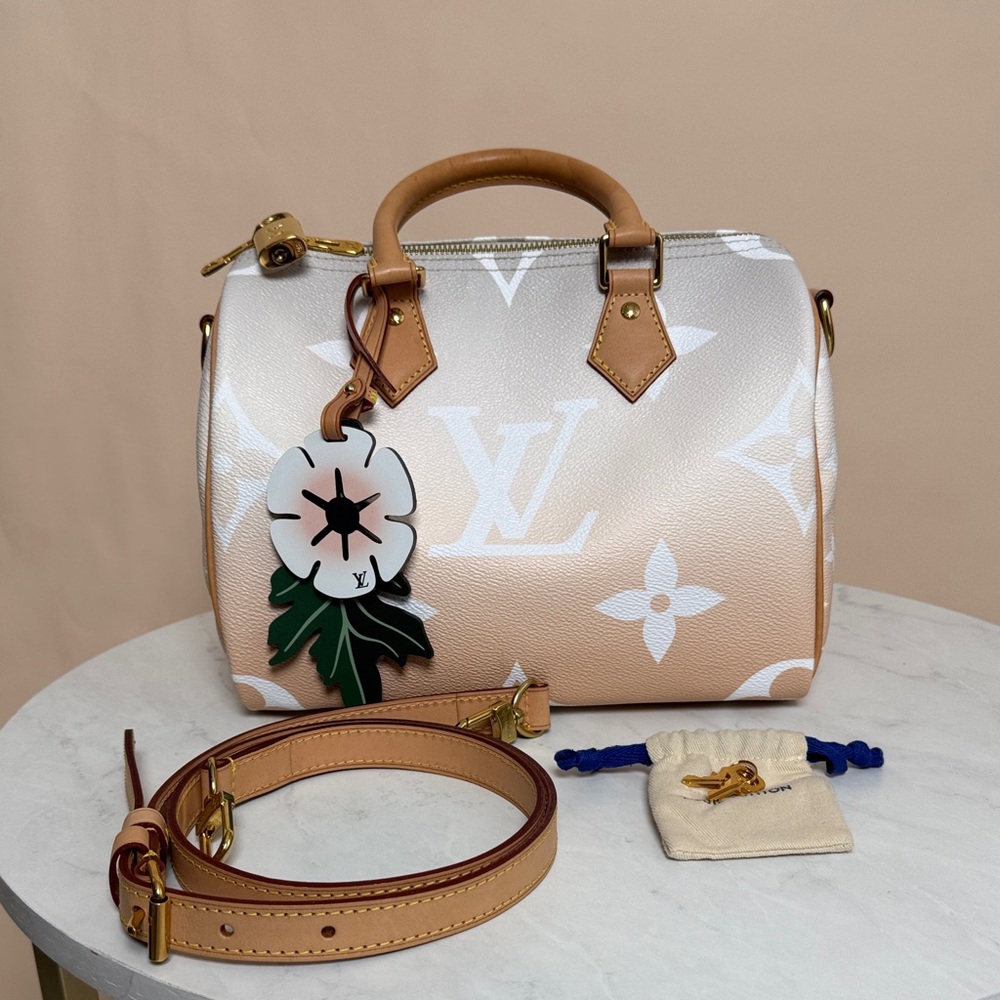 Louis Vuitton Beige and Brown Satchel